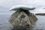 250608b_Hamiltonbukta_013_D