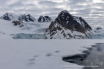 250608b_Hamiltonbukta_066_D