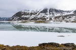 250610a_Signehamna_17_D