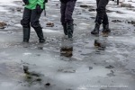250610a_Signehamna_31_D