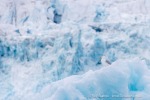 250610b_Lilliehookbreen_32_D