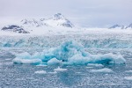 250610b_Lilliehookbreen_38_D