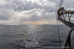 250604b_Isfjord_04_D