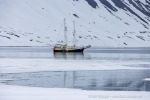 250605a_Trygghamna_37_D