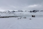 250605a_Trygghamna_64_D