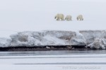 250608a_Alicehamna_022_D