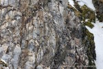250608b_Hamiltonbukta_009_D