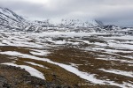 250610a_Signehamna_40_D