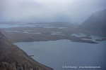 24_220905a_Bruceneset_099_D