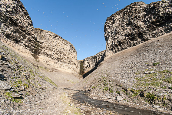 Diskobukta, Edgeøya