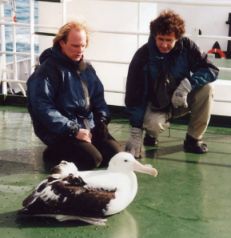 Rolf Stange und ein Wanderalbatross