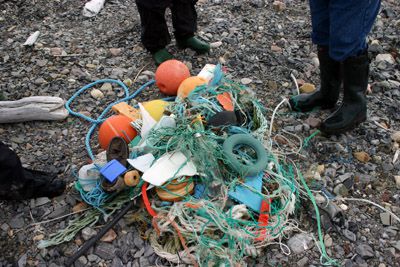 Plastikmüll auf Spitzbergen