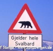 polar bear warning sign