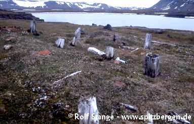 Remains of Pomor hunting station on Edgeøya