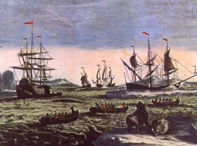 17th century whaling