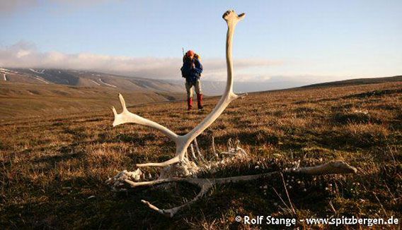 Wandern im Adventdalen, Spitzbergen