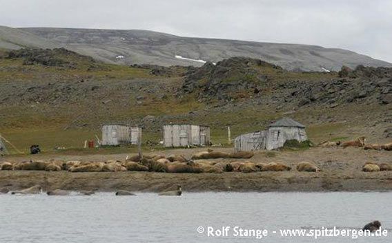 Kapp Lee, Edgeøya