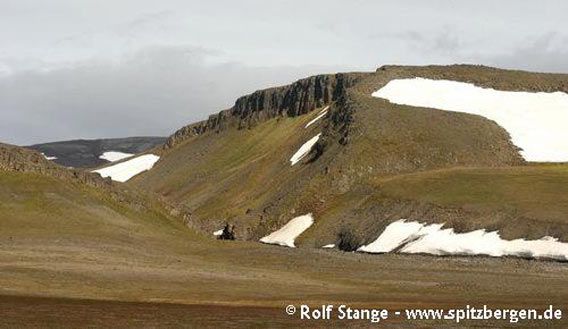 Typical Barentsøya-Landscape