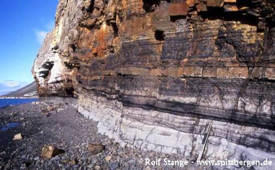 Sedimentary layers at Fuglefjella west of Longyearbyen