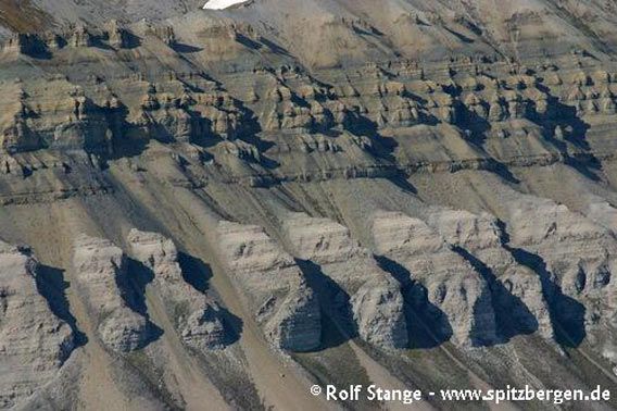 Almost horizontal layers of Carboniferous and Permian sediments, dissected by erosion to form protruding towers (Skansbukta)