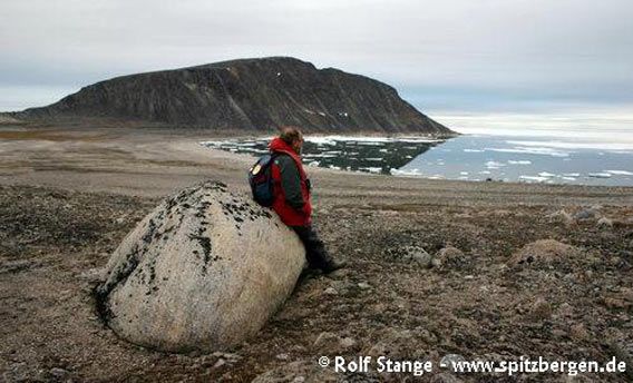 Barren polar desert on Phippsøya