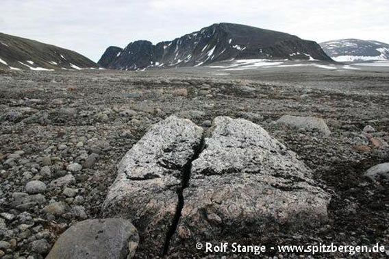 Erratic boulders on Phippsøya