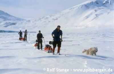 Cross-country skiing in the Arctic: great pleasure for sportive people