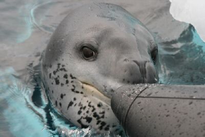 One of those days in Antarctica ... - Antarctic season 2007/2008