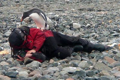 One of those days in Antarctica (© Francisco Fos)