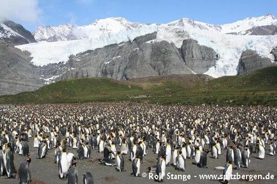 Antarctic Peninsula 2006/2007