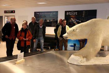 The very first polar bear of the season (Longyearbyen airport)