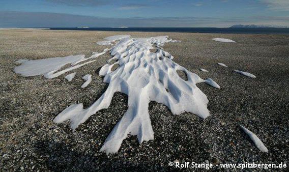 Snøfelt formet av vind og sol i polarørkenen nær Torellneset, Nordaustland