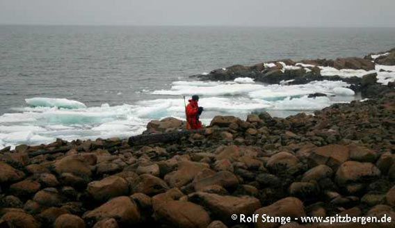 Coarse dolerite boulders can make walking difficult (Franzøya)