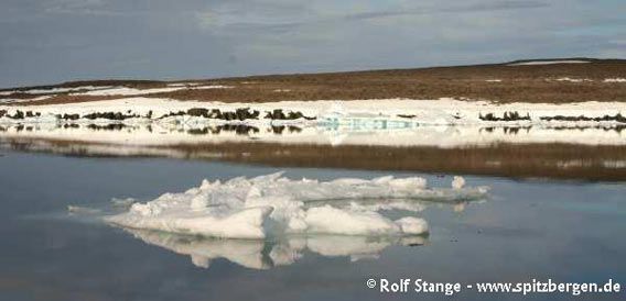 Drift ice floe, iced-over shoreline and barren tundra on Nystrømøy)