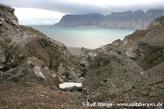 Gips. Kapp Schoultz, Tempelfjord