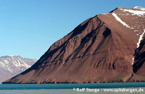 Old Red, Bockfjord