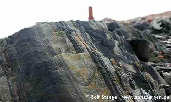Steeply dipping upper Precambrian sediments (light-grey quarzitic sandstone and dark silt- and claystone) on the eastern side of the Sorgfjord (Crozierpynten)