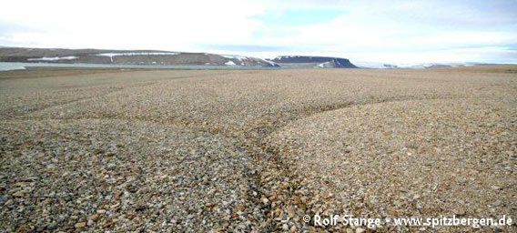 Eiskeilnetze, Palanderbukta