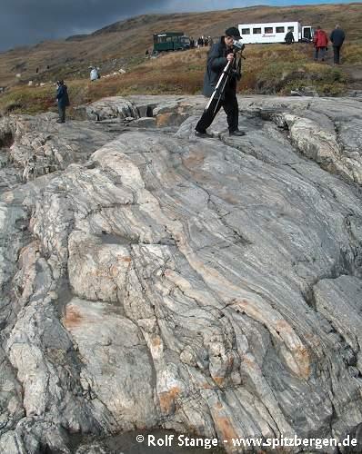 Strongly metamorphosed Precambrian rocks near Kangerlussuaq (West Greenland)