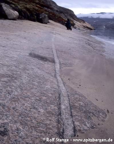 Small granitic vein in Rypefjord (inner Scoresbysund)