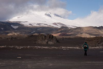 Jan Mayen Nature Reserve - Eggoya