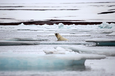 Climate change in and around Spitsbergen