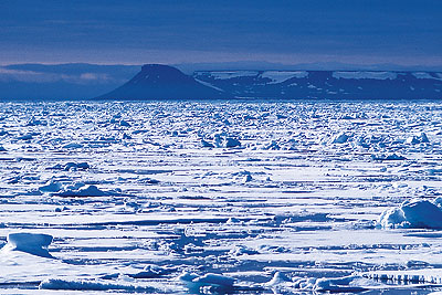 Polar bear denning sites on Kong Karls Land