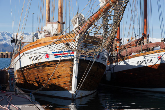 SV Hildur, Scoresbysund