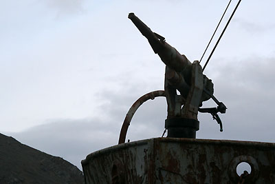 Norwegian whaling season has started - Harpoon gun