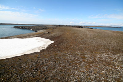 East Svalbard management plan - Tusenøyane