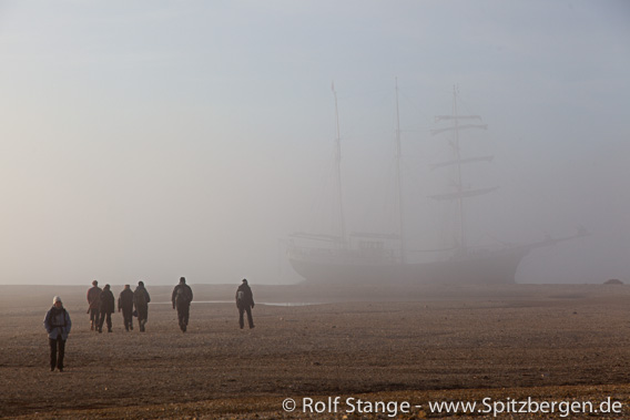 Nebel im Wahlenbergfjord