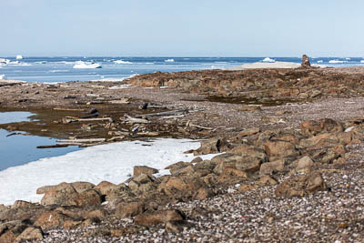 Purchasneset, Lågøya