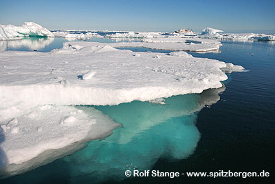 Ice loss in the Arctic -Drift ice off East Greenland.