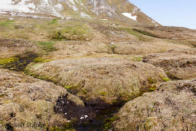 Methane from arctic permafrost